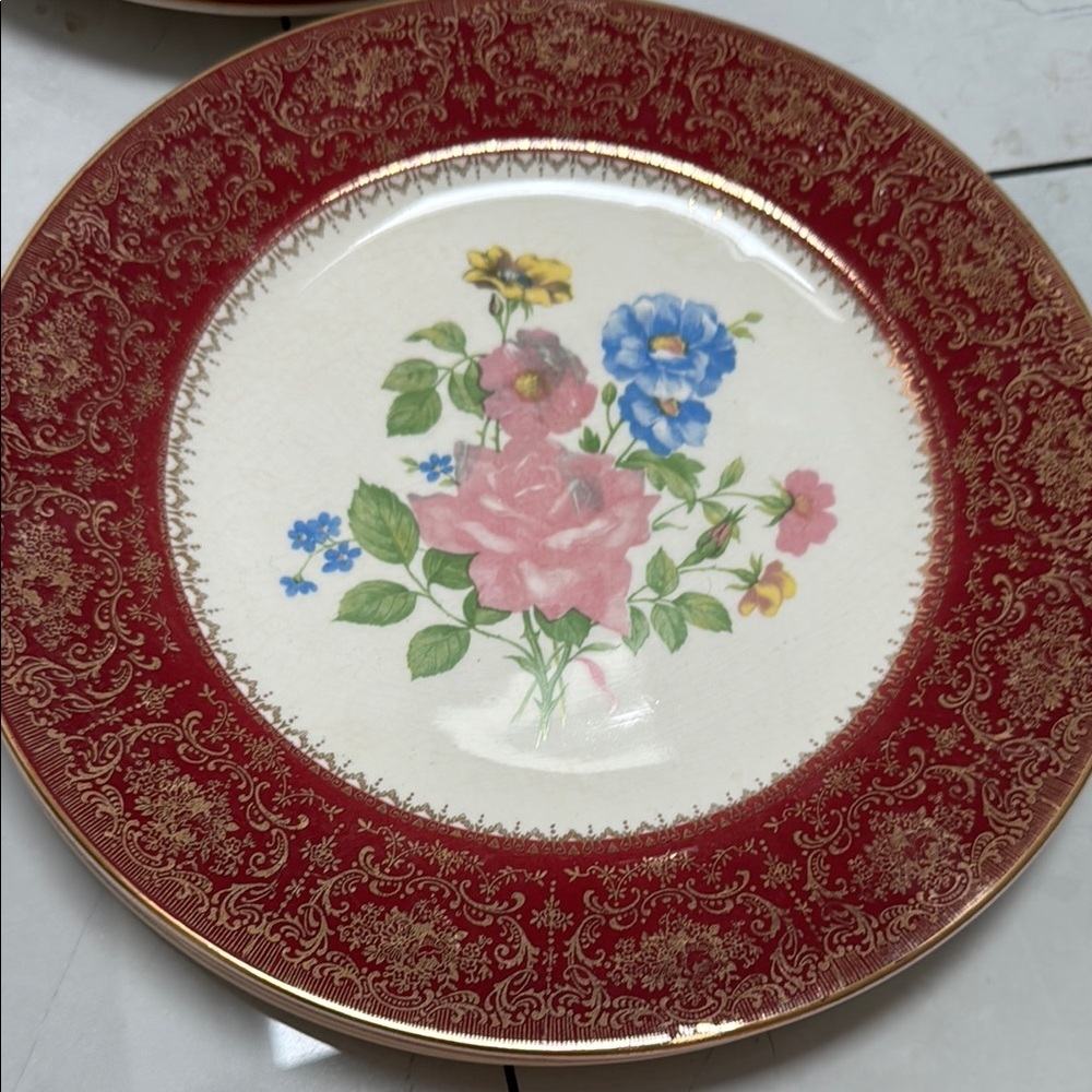 Stunning Set of 9 Salem China Co 23 Karat Dinner Plates